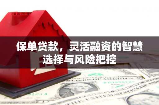 开化保单贷款，灵活融资的智慧选择与风险把控