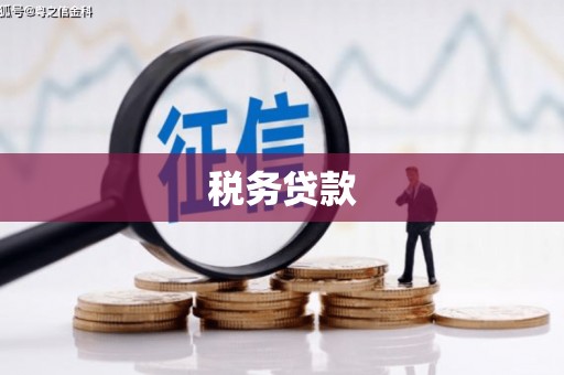 开化税务贷款