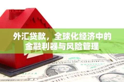 开化外汇贷款，全球化经济中的金融利器与风险管理