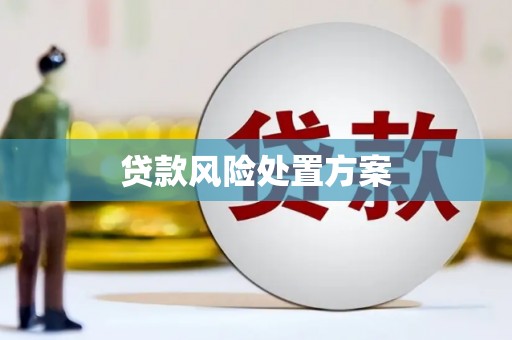 开化贷款风险处置方案