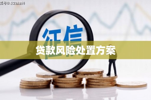 开化贷款风险处置方案