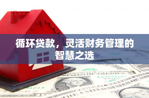 开化循环贷款，灵活财务管理的智慧之选