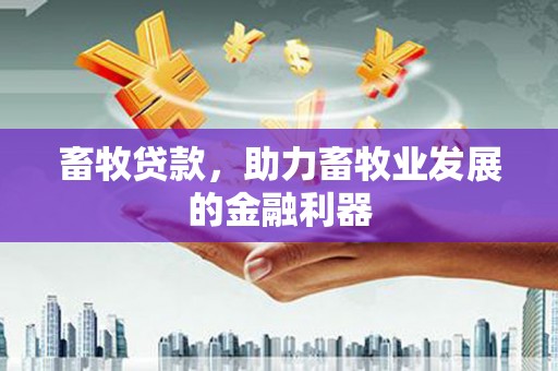开化畜牧贷款，助力畜牧业发展的金融利器