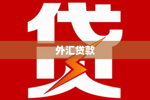 开化外汇贷款