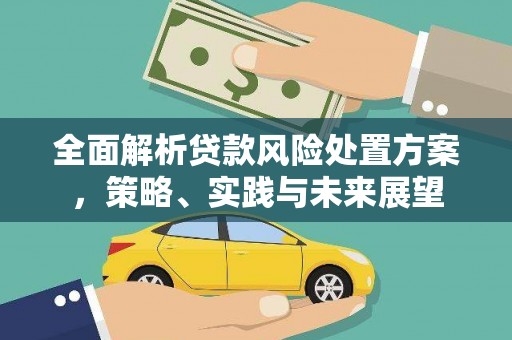 开化全面解析贷款风险处置方案，策略、实践与未来展望