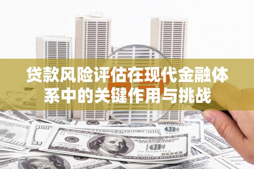 开化贷款风险评估在现代金融体系中的关键作用与挑战