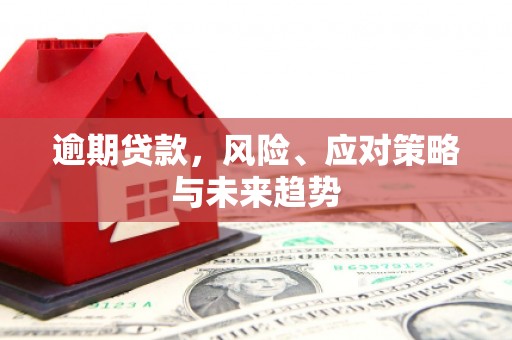 开化逾期贷款，风险、应对策略与未来趋势