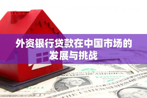 开化外资银行贷款在中国市场的发展与挑战
