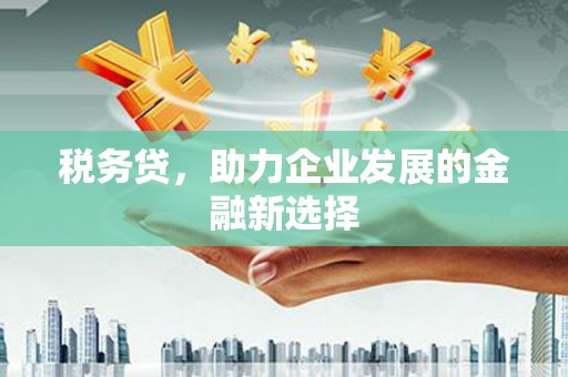 开化税务贷，助力企业发展的金融新选择
