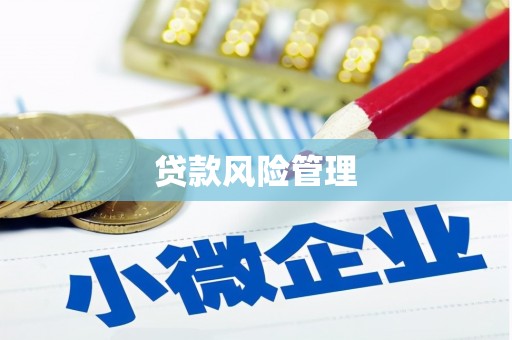 开化贷款风险管理