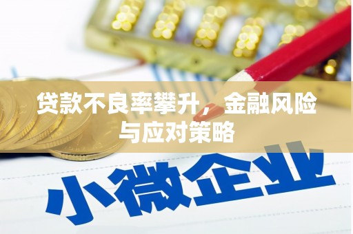 开化贷款不良率攀升，金融风险与应对策略