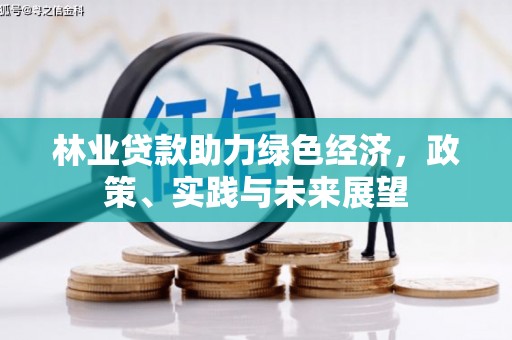 开化林业贷款助力绿色经济，政策、实践与未来展望