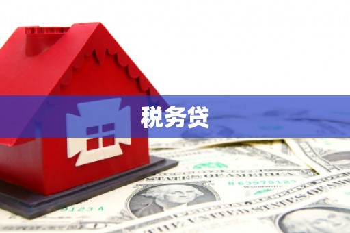 开化税务贷