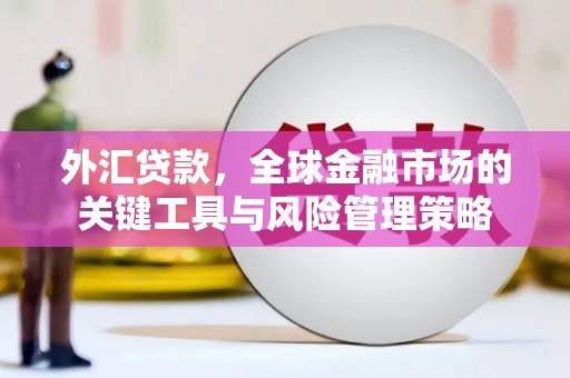 开化外汇贷款，全球金融市场的关键工具与风险管理策略