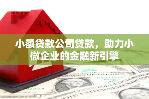 开化小额贷款公司贷款，助力小微企业的金融新引擎