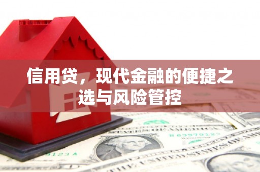 开化信用贷，现代金融的便捷之选与风险管控
