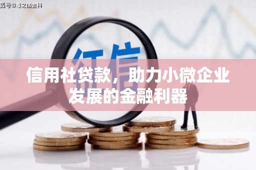 开化信用社贷款，助力小微企业发展的金融利器
