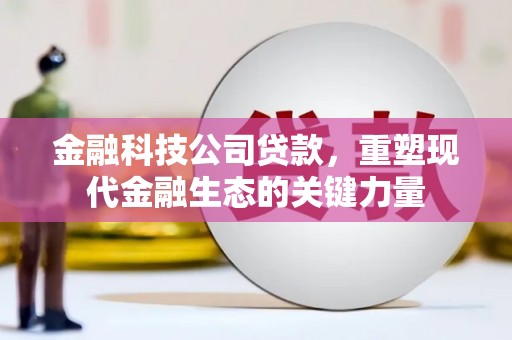开化金融科技公司贷款，重塑现代金融生态的关键力量
