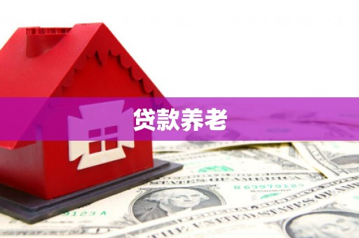 开化贷款养老