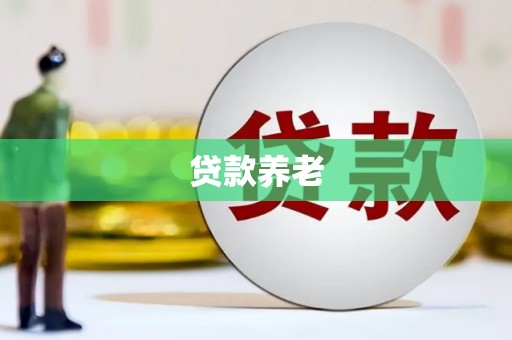 开化贷款养老