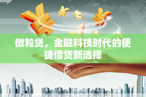 开化微粒贷，金融科技时代的便捷借贷新选择
