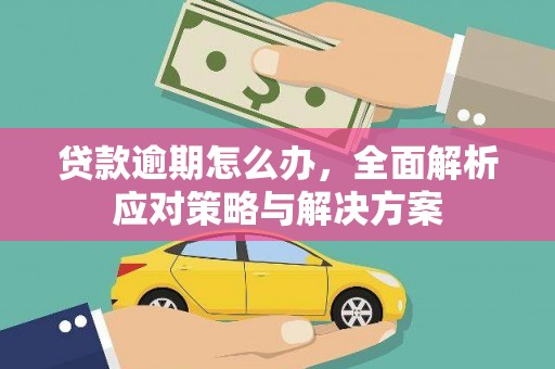 开化贷款逾期怎么办，全面解析应对策略与解决方案