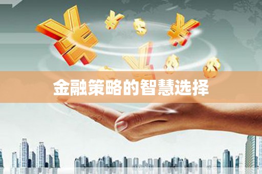 开化金融策略的智慧选择