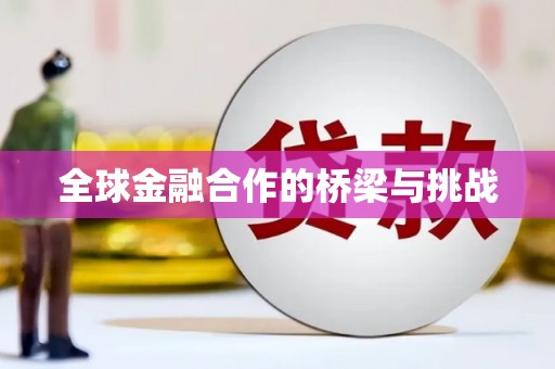 开化全球金融合作的桥梁与挑战