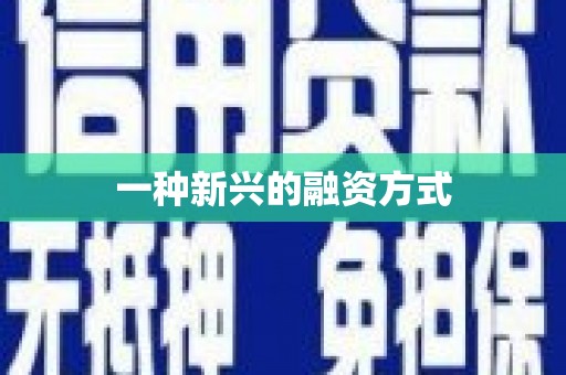 开化一种新兴的融资方式