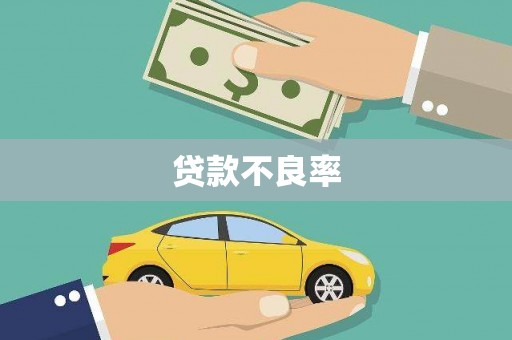 开化贷款不良率