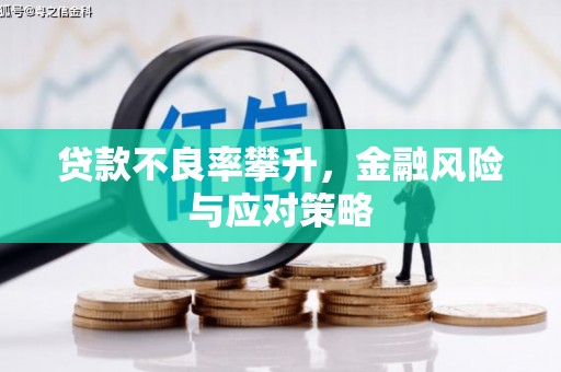 开化贷款不良率攀升，金融风险与应对策略